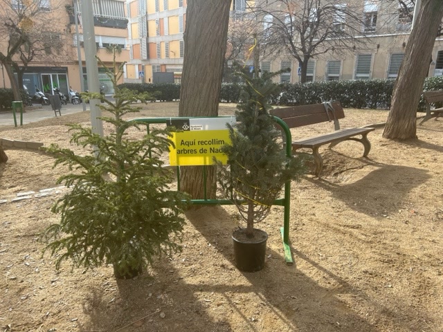 M&eacute;s d&#39;una vintena de punts per reciclar els arbres de Nadal