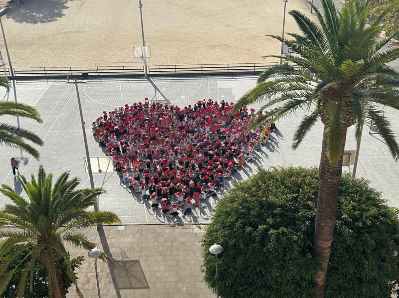 Els centres escolars de Matar&oacute; preparen els alumnes per saber actuar davant d&rsquo;una aturada cardiorespirat&ograve;ria