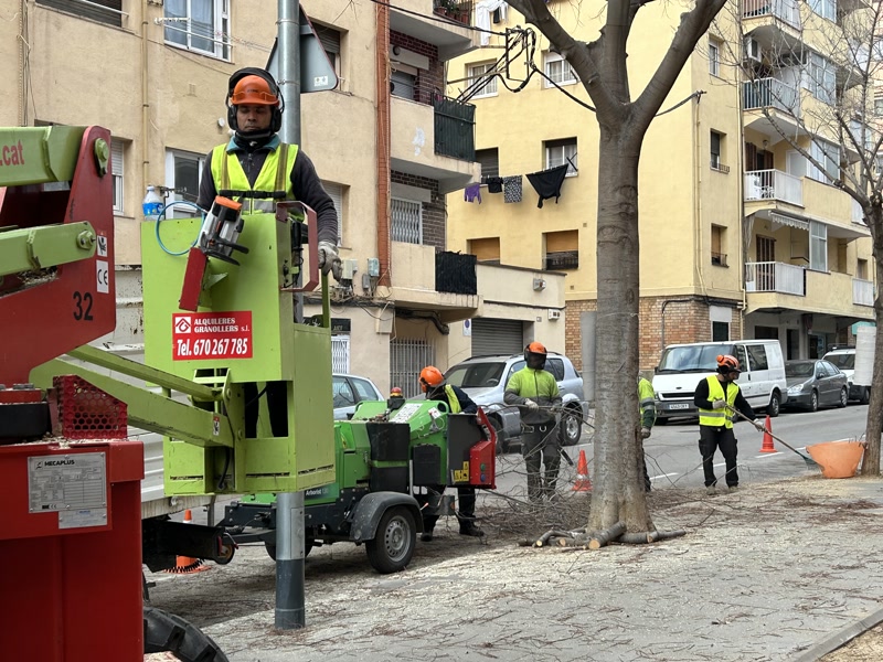 La campanya de poda actua sobre 2.000 arbres
