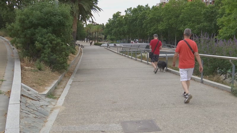 M&eacute;s ombra i m&eacute;s verd al Parc Central per adaptar-lo al canvi clim&agrave;tic