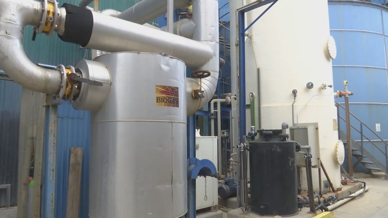 Maresme Circular estudia crear energia renovable amb biomassa forestal del Montnegre