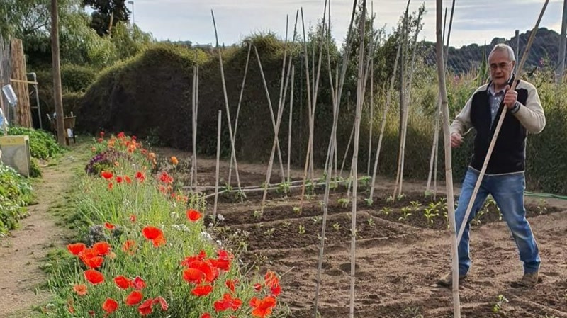 Termini obert per sol&middot;licitar un dels horts urbans del Bon Rec&eacute;s