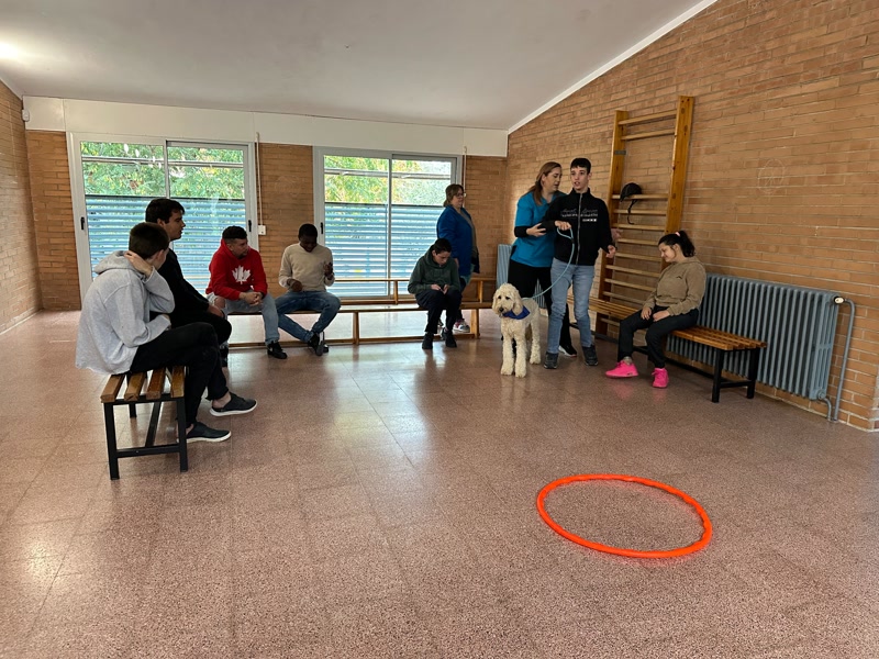 <strong>El CEE Les Aig&uuml;es aposta per les intervencions assistides amb gossos per estimular els seus alumnes</strong>