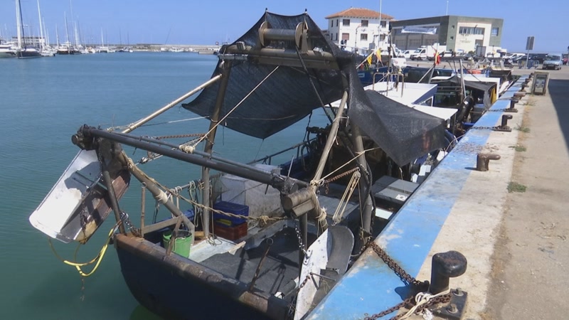 El futur del sector pesquer d&rsquo;Arenys de Mar est&agrave; en joc