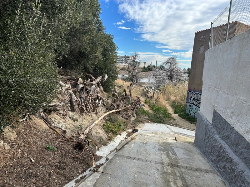 Com han afectat les fortes ventades a Matar&oacute; i el Maresme?