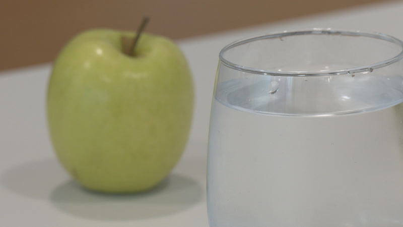 L&rsquo;alimentaci&oacute; de l&rsquo;estiu: Qu&egrave; haur&iacute;em de tenir en compte?