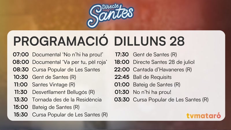 DILLUNS 28