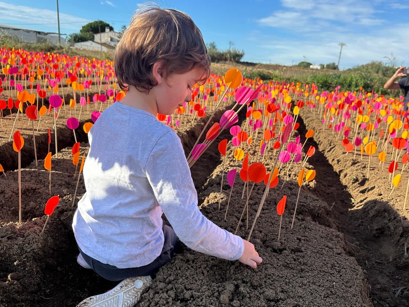 15.000 roselles fluorescents connecten les escoles de Matar&oacute; amb les Cinc S&eacute;nies