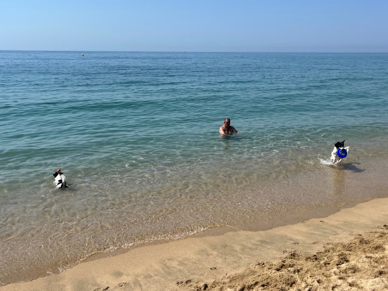 Com sobreviure a l&rsquo;onada de calor si vius a Matar&oacute;