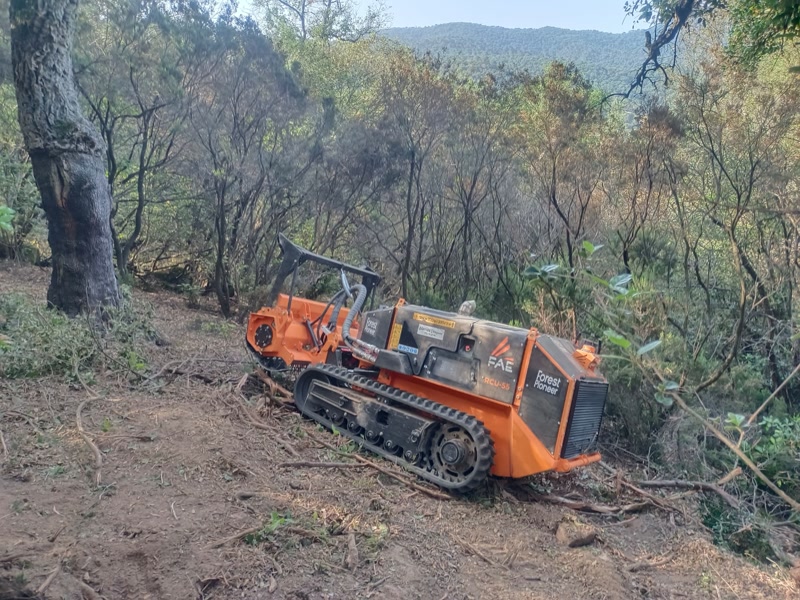 <strong>Una prova experimenta amb una eruga teledirigida per desbrossar el sotabosc al Montnegre</strong>