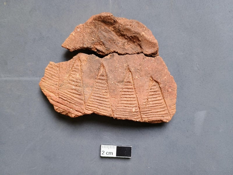 <strong>Surten a la llum restes prehist&ograve;riques al jaciment de Ca la Madrona</strong>