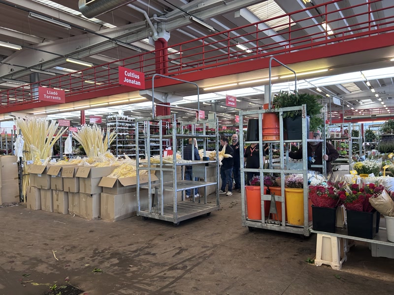 Palmes i roses conviuen al Mercat de la Flor