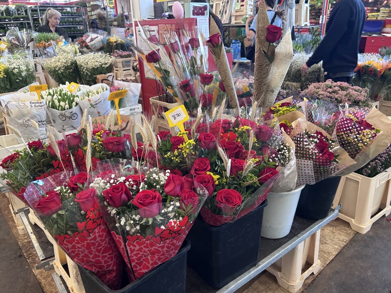 Roses a punt pel 23 d'abril