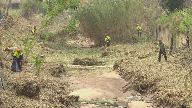 La riera de Sant Sim&oacute;, de canyes a plantes aut&ograve;ctones