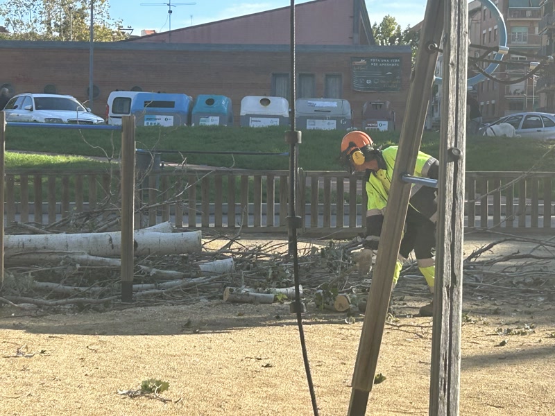 <strong>M&eacute;s d&#39;una quinzena d&rsquo;arbres han quedat afectats per la forta ventada d&rsquo;aquesta nit</strong>
