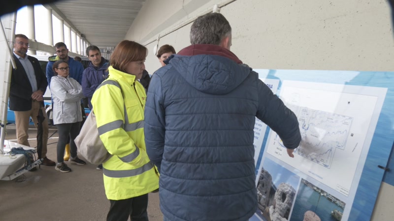 Vint nous refugis marins per recuperar la biodiversitat del Port de Matar&oacute;