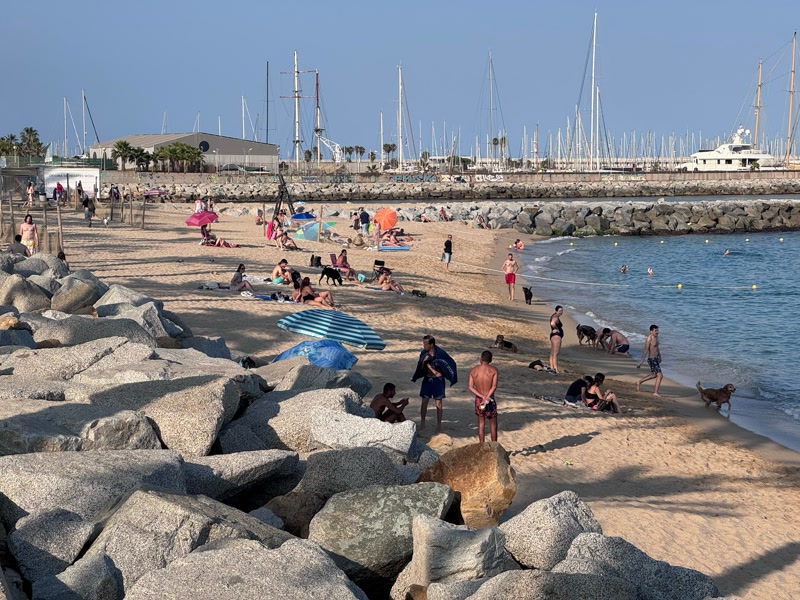 La platja per a gossos, un pol d&rsquo;atracci&oacute; tur&iacute;stica