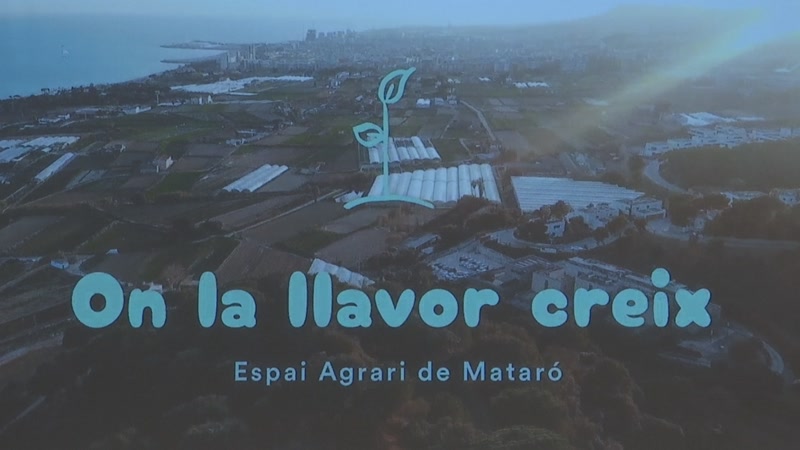 &lsquo;On la llavor creix&rsquo;: com posar en valor l&rsquo;espai agr&iacute;cola i forestal de Matar&oacute;