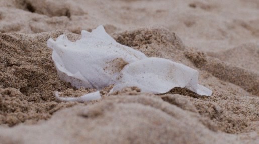 Les tovalloletes, el monstre de la contaminaci&oacute; marina&nbsp;<br />
&nbsp;