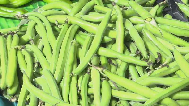 La programaci&oacute; del dia: El malbaratament alimentari, com fer-hi front?