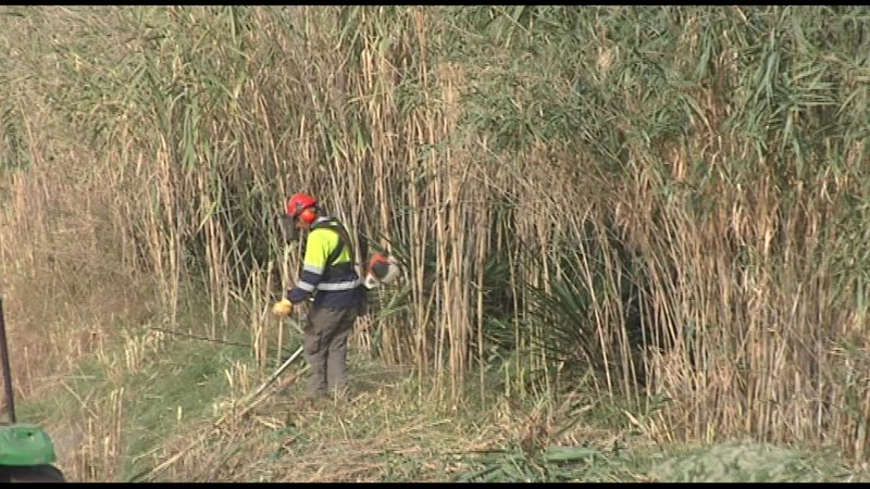 El mes de mar&ccedil; comencen els treballs del projecte Re-Natura a la Riera de Sant Sim&oacute;