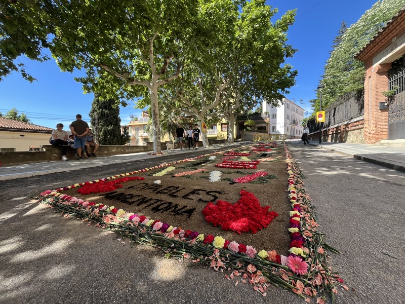 La Diada de la Flor omple Argentona de catifes florals i visitants