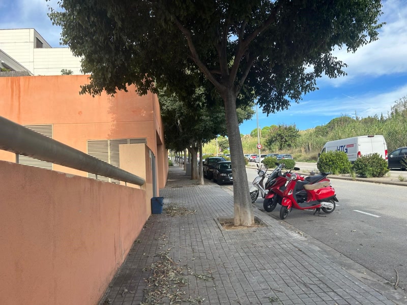 Vuit detinguts i diverses plantacions de marihuana desmantellades al Maresme en un operatiu policial
