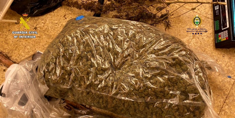Dos detinguts i un investigat en el desmantellament d&rsquo;una plantaci&oacute; de marihuana a Santa Susanna
