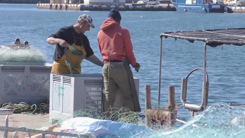 L&rsquo;acord per la pesca aprovat a la Comissi&oacute; Europea no conven&ccedil; al sector