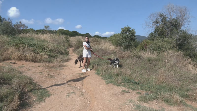 Rebuig ve&iuml;nal a la construcci&oacute; d&#39;un parc per a ciclistes al tur&oacute; de Cerdanyola