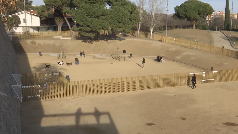 Matar&oacute; suma la vuitena &agrave;rea recreativa per gossos