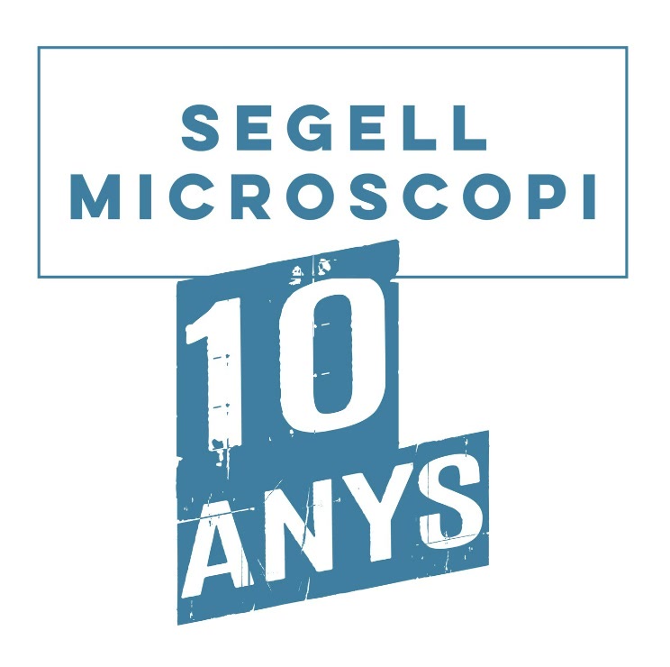 <strong>Microscopi, 10 anys catapultant propostes musicals emergents</strong>