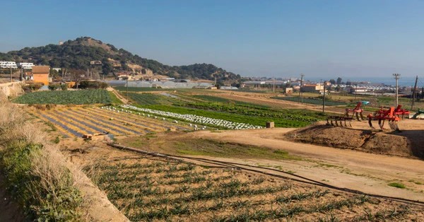 La programaci&oacute; del dia: qu&egrave; en saps de l&rsquo;espai agrari de Matar&oacute;?