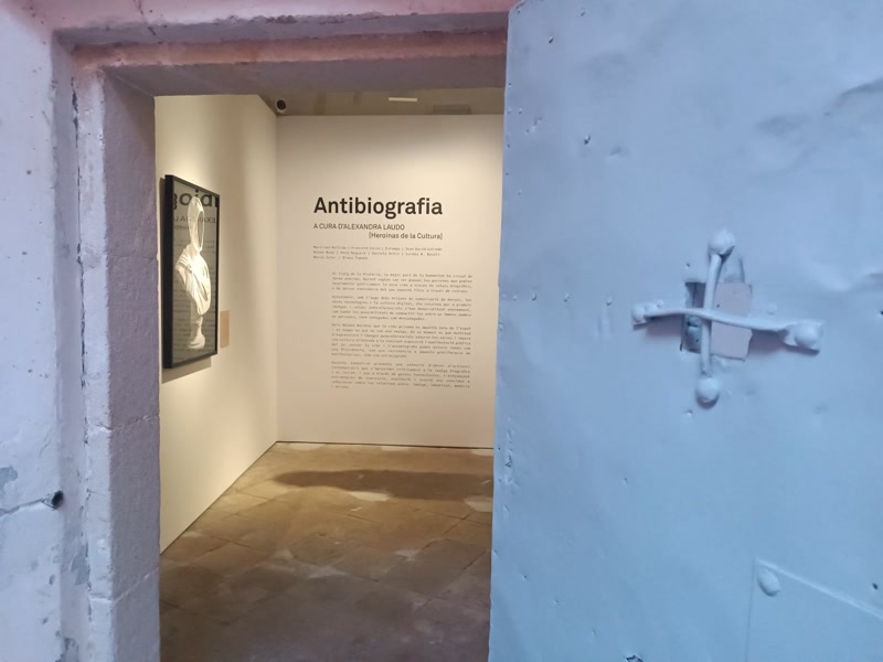 Antibiografia, contra la cultura del jo