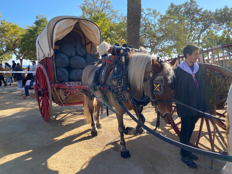 On se celebren els Tres Tombs? Argentona, els primers de tot Catalunya