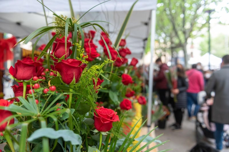 Obertes les sol&middot;licituds per muntar parades de roses i llibres a Matar&oacute;