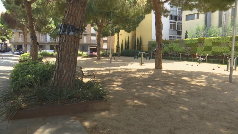 El canvi clim&agrave;tic i la sequera canvien les zones verdes urbanes