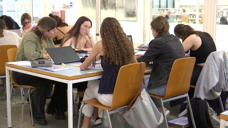 Com &eacute;s la selectivitat d&#39;aquest 2024?