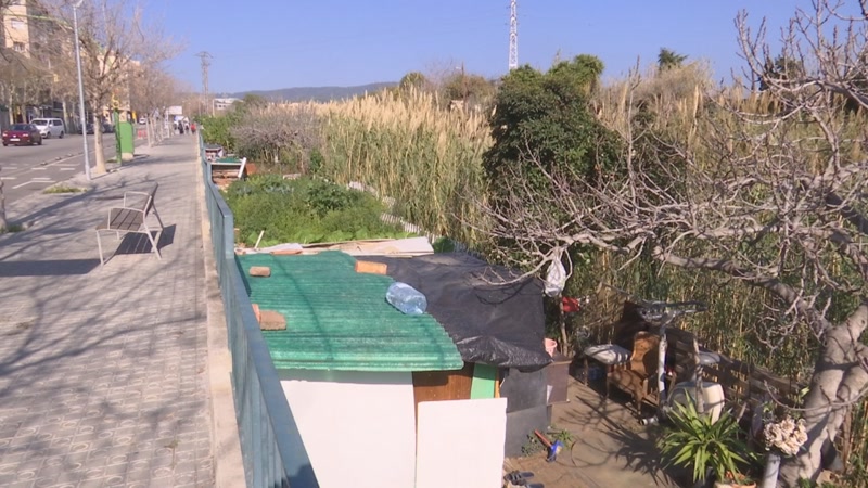 Els horts il&middot;legals de la riera de Sant Sim&oacute;, a punt de desapar&egrave;ixer