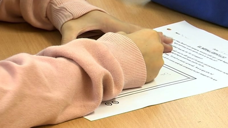 <strong>La manca de comprensi&oacute; lectora, l&rsquo;arrel del problema a l&rsquo;escola </strong><br />
&nbsp;