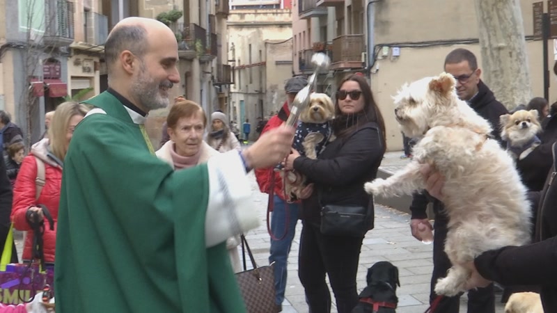 Sense els Tres Tombs, pocs fidels s&rsquo;animen a beneir els animals per Sant Antoni Abat