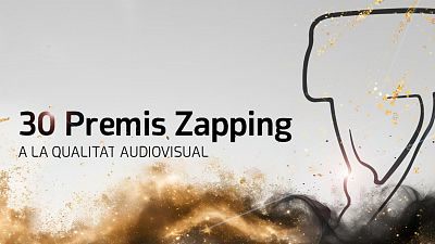 La programaci&oacute; del dia: tvmatar&oacute; als Premis Zapping