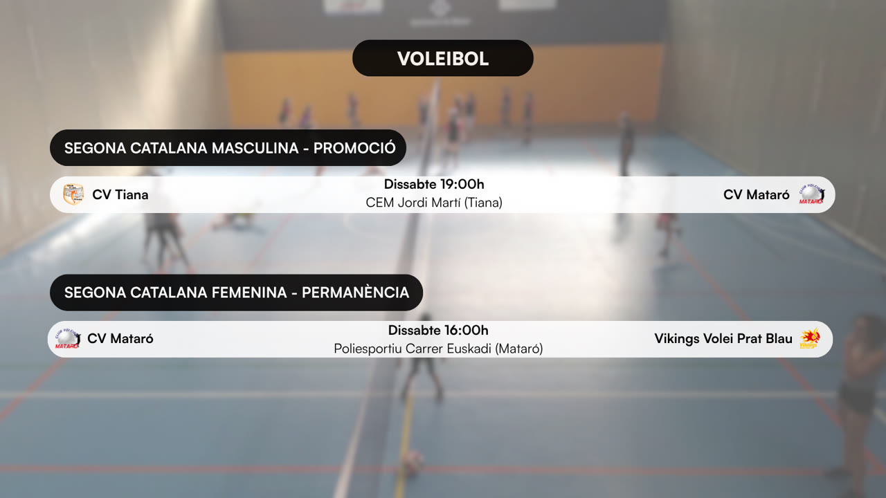 VOLEI (1).png