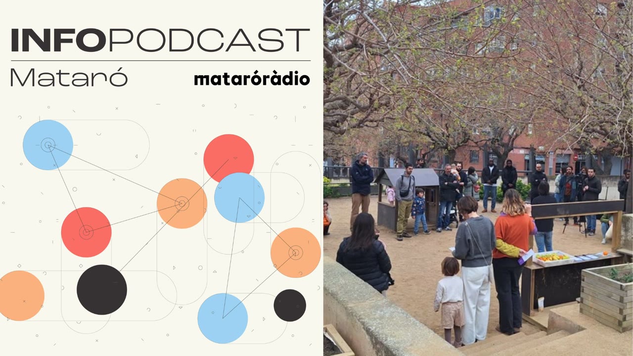 linfopodcast-del-3-de-marc-de-2026