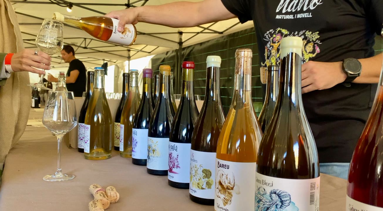 una-trentena-de-cellers-catalans-enceten-el-vi-novell-a-can-jalpi