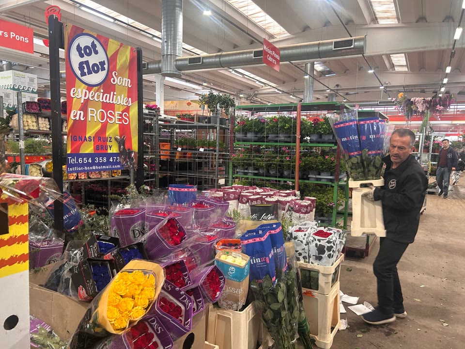 WhatsApp Image 2026-04-16 at 11.07.34.jpeg