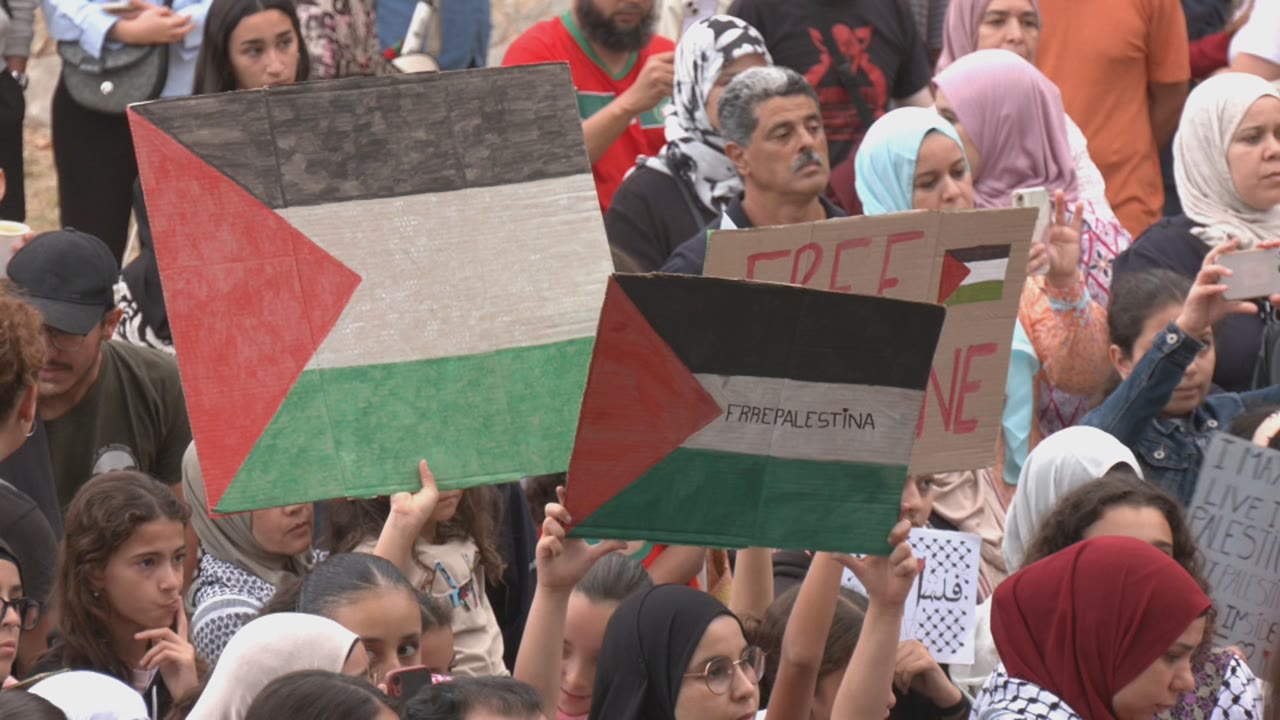 en-comu-podem-pressiona-per-penjar-la-bandera-de-palestina-a-lajuntament
