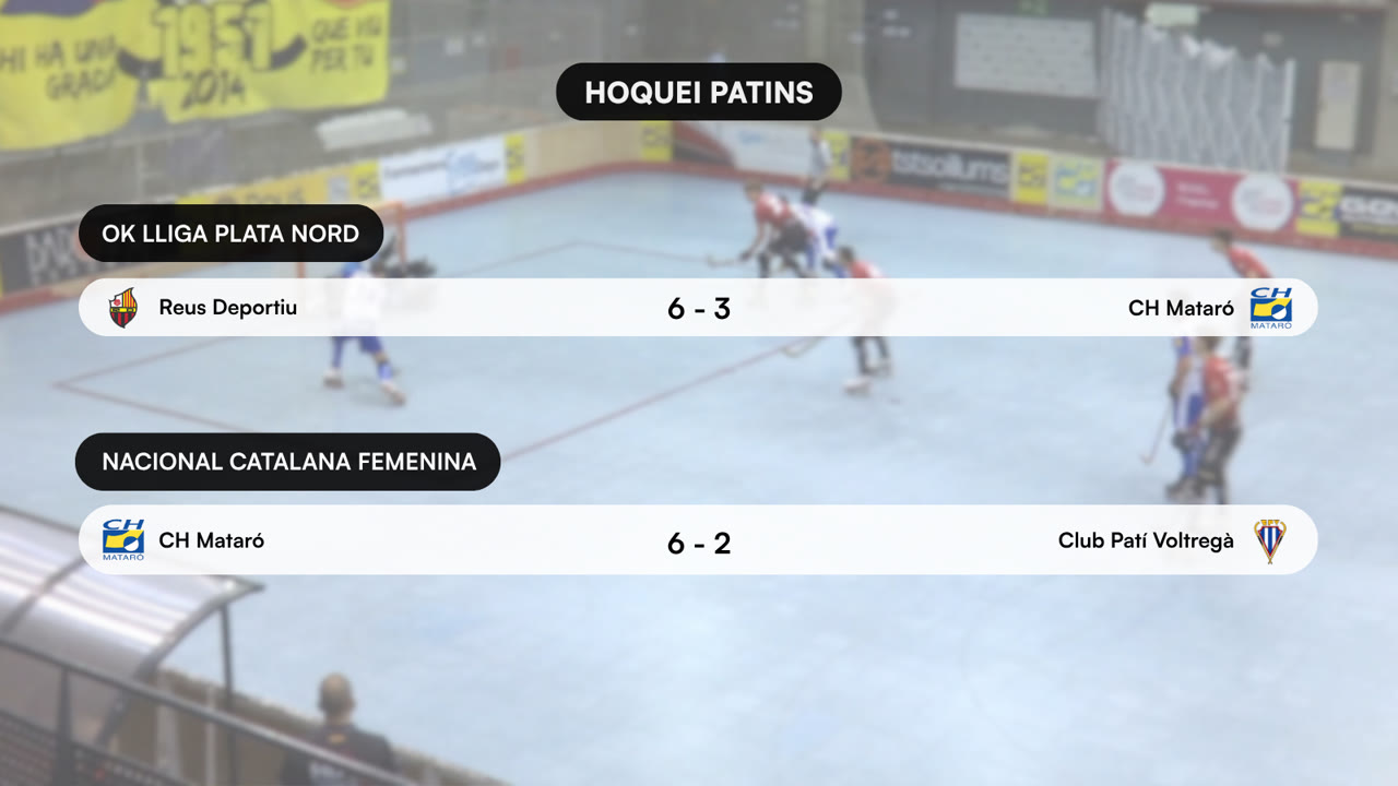 HOQUEI PATINS (2).png