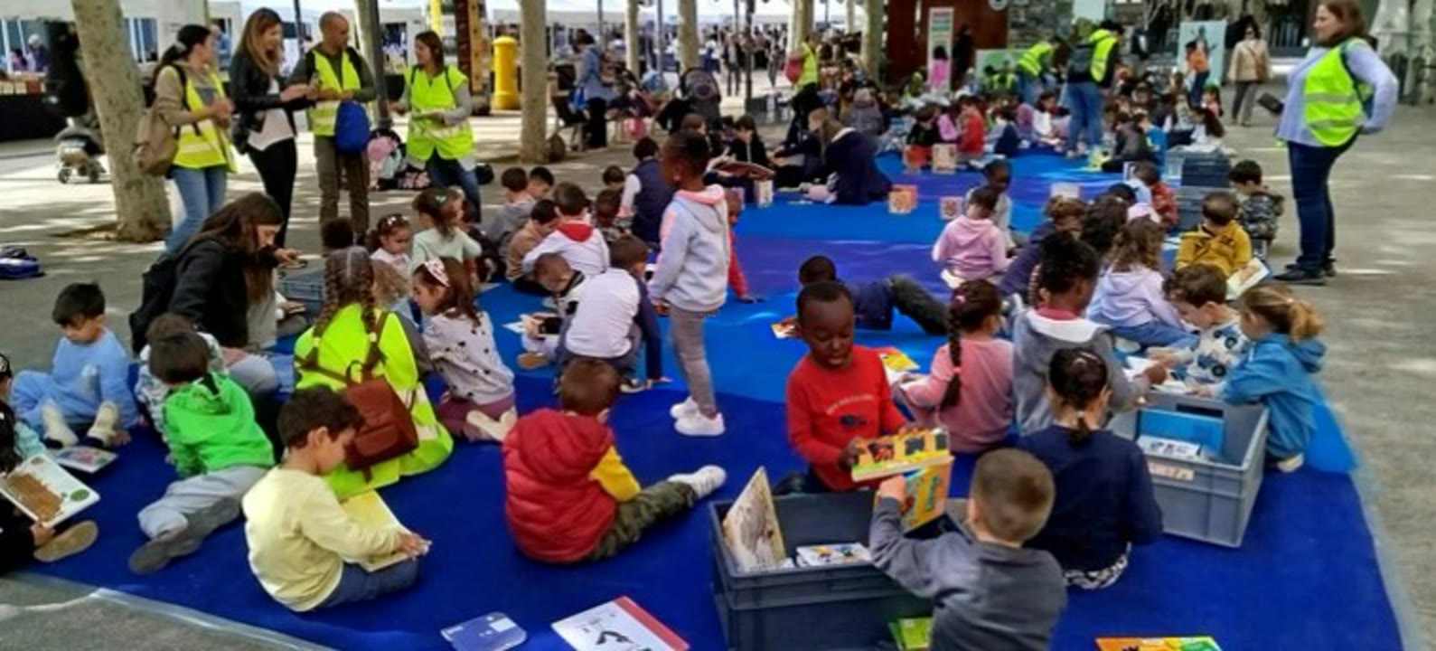 Biblioteca a cel obert.jpg