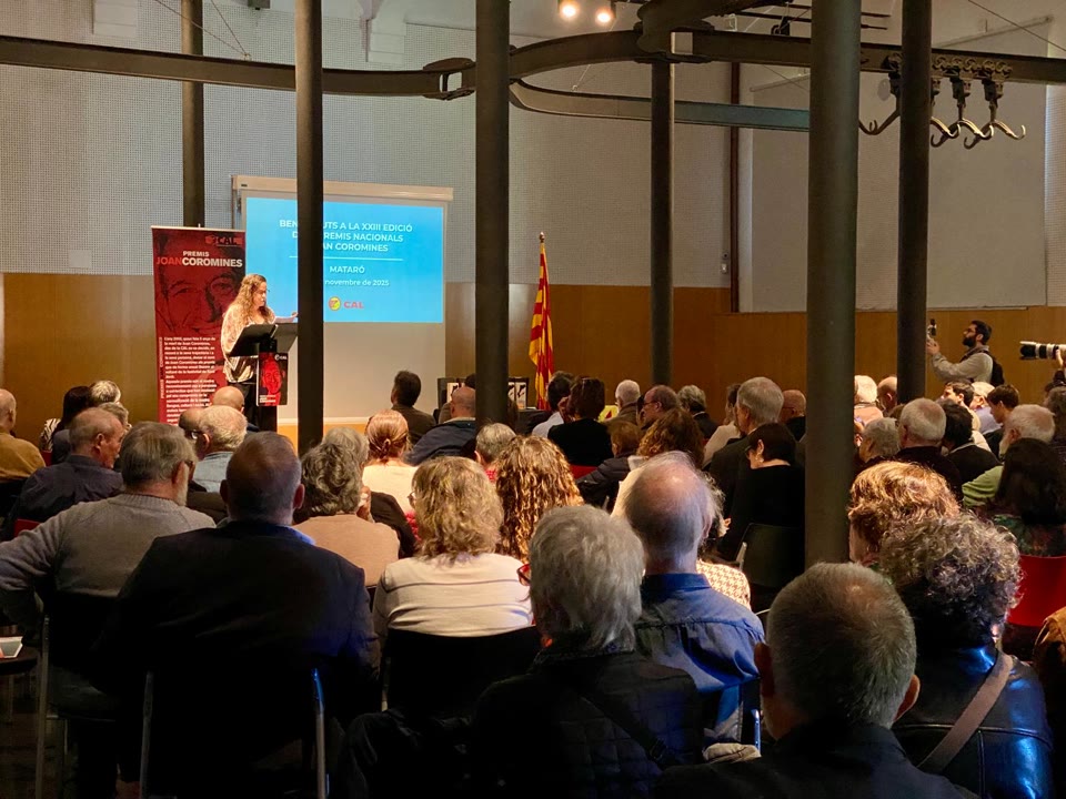 conseller-de-politica-linguistica-hem-de-tenir-una-mirada-linguistica-mes-present